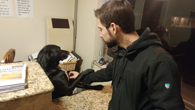 Front desk doggo wanted ALL THE ATTENTION